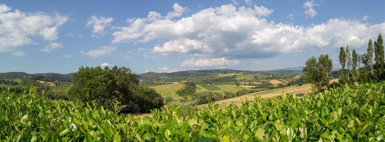 Agriturismo Dei Casali 아멜리아 외부 사진